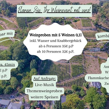 Ferienhaus Traminer Im Weinberg Freyburg Bagian luar foto