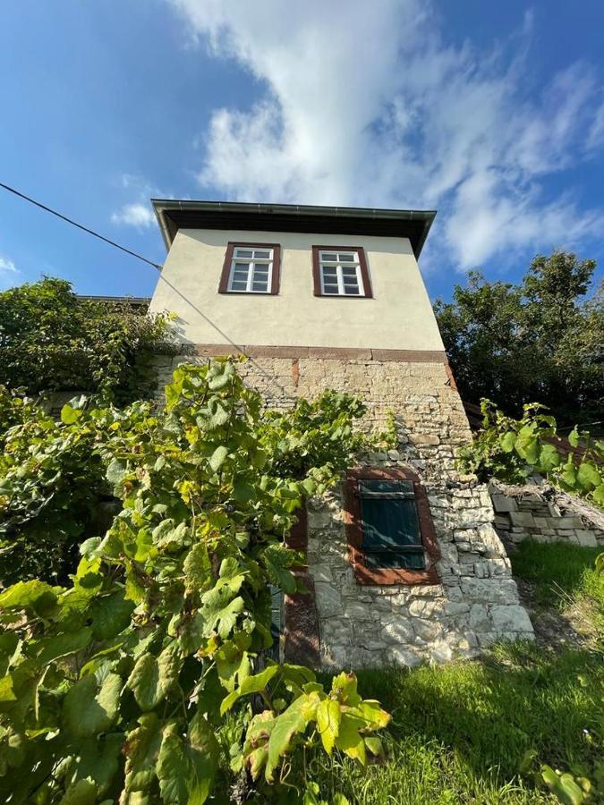 Ferienhaus Traminer Im Weinberg Freyburg Bagian luar foto