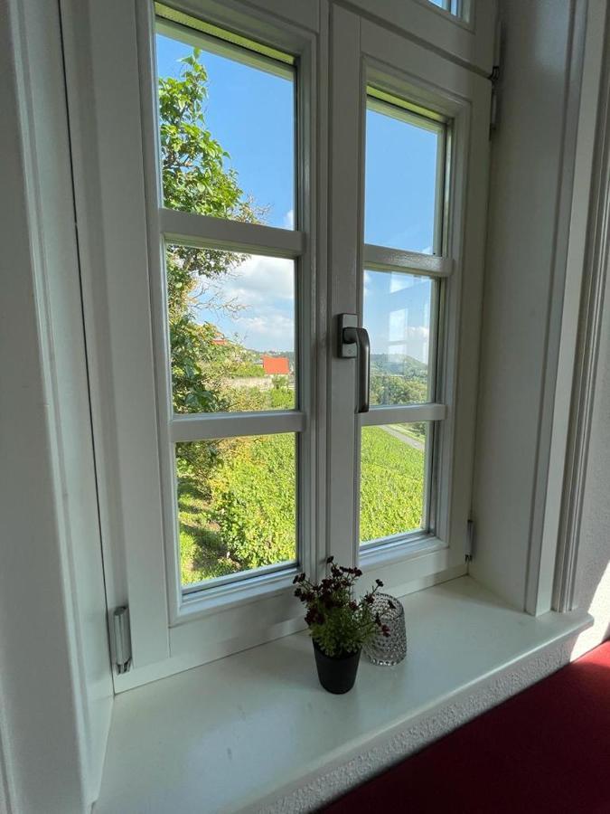 Ferienhaus Traminer Im Weinberg Freyburg Bagian luar foto