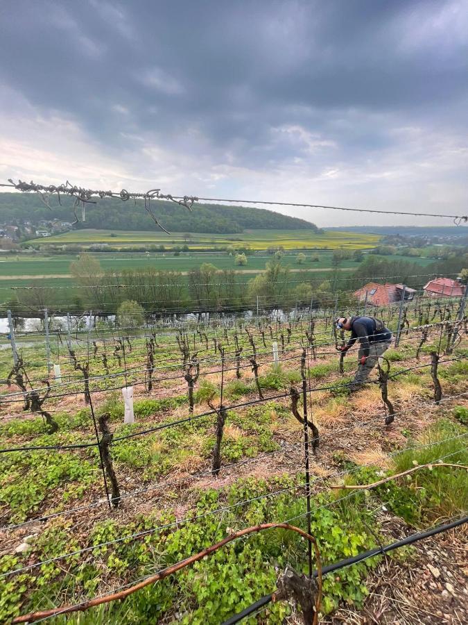 Ferienhaus Traminer Im Weinberg Freyburg Bagian luar foto