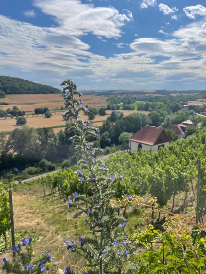 Ferienhaus Traminer Im Weinberg Freyburg Bagian luar foto