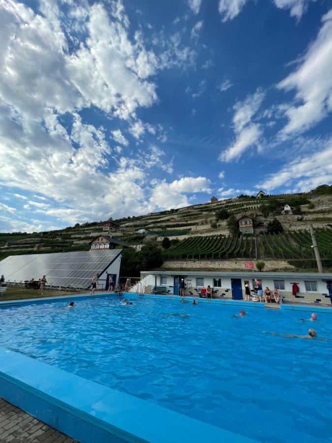 Ferienhaus Traminer Im Weinberg Freyburg Bagian luar foto